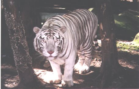 Pocono Zoo attraction NE PA Pennsylvania